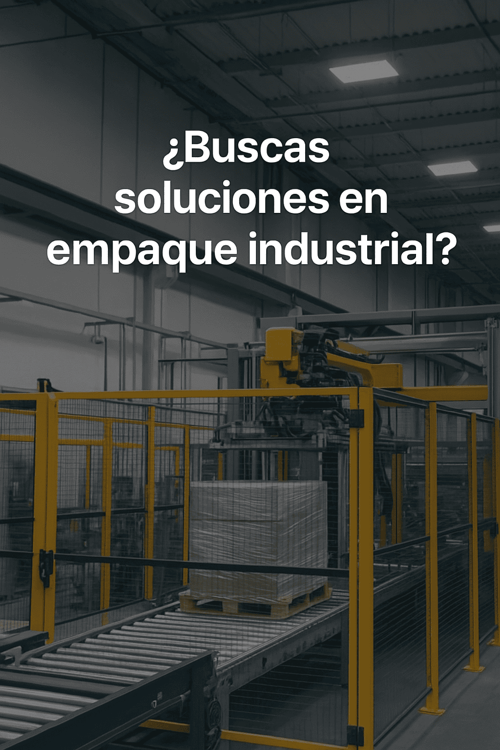 Flejes Industriales
